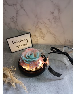 Thinking of you, R&G08 Thinking of you, R&G08